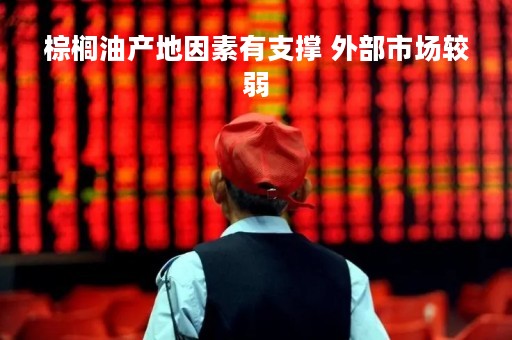 棕榈油产地因素有支撑 外部市场较弱