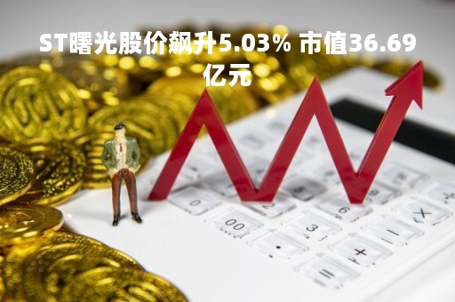ST曙光股价飙升5.03% 市值36.69亿元