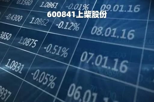 600841上柴股份