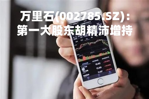 万里石(002785.SZ)：第一大股东胡精沛增持期届满 仅耗资1516万元增持72.76万股