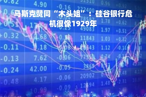 马斯克赞同“木头姐”：硅谷银行危机很像1929年