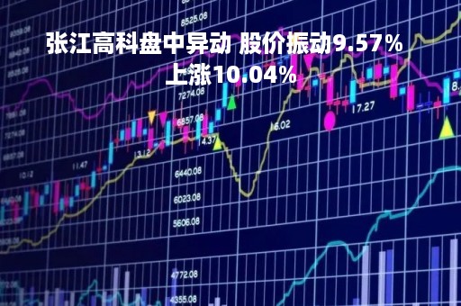 张江高科盘中异动 股价振动9.57%  上涨10.04%