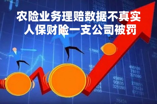 农险业务理赔数据不真实 人保财险一支公司被罚19万元
