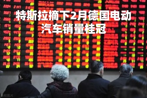 特斯拉摘下2月德国电动汽车销量桂冠