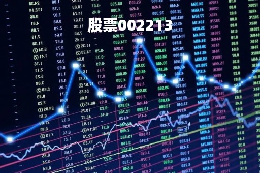股票002213