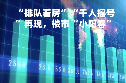 “排队看房”“千人摇号”再现，楼市“小阳春”来了？