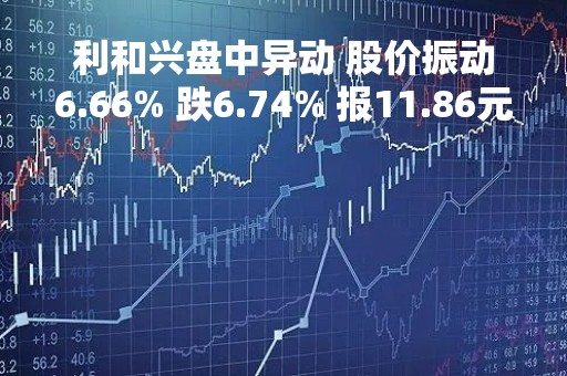 利和兴盘中异动 股价振动6.66% 跌6.74% 报11.86元
