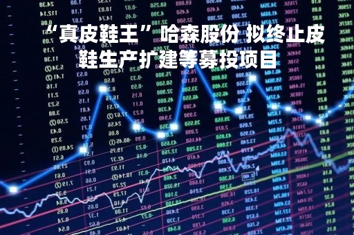 “真皮鞋王”哈森股份 拟终止皮鞋生产扩建等募投项目