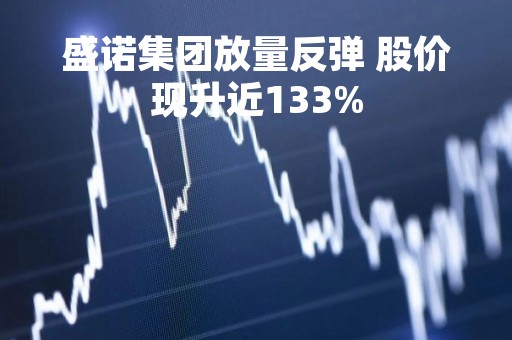 盛诺集团放量反弹 股价现升近133%