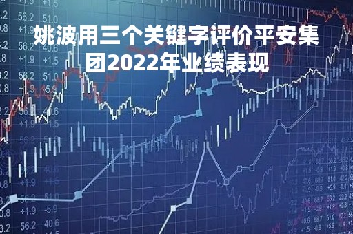 姚波用三个关键字评价平安集团2022年业绩表现