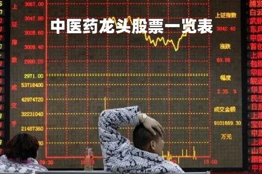 中医药龙头股票一览表
