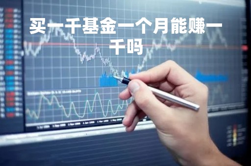 买一千基金一个月能赚一千吗