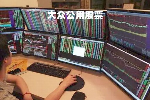 大众公用股票