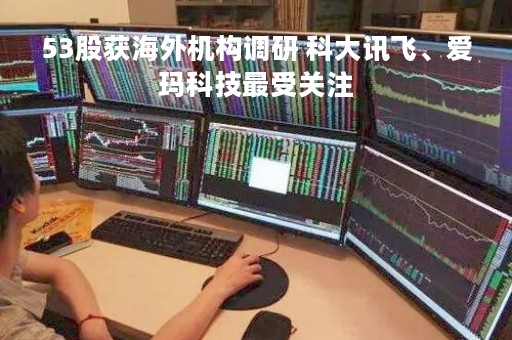 53股获海外机构调研 科大讯飞、爱玛科技最受关注
