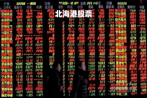 北海港股票