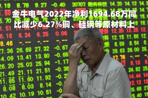 金牛电气2022年净利1694.68万同比减少6.27%铜、硅钢等原材料上涨