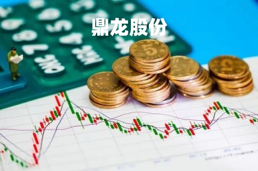 鼎龙股份