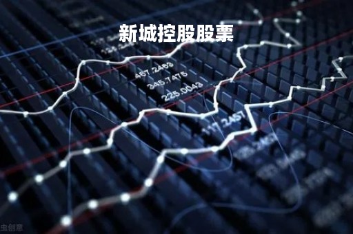 新城控股股票
