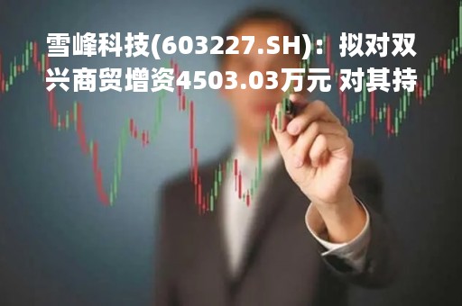 雪峰科技(603227.SH)：拟对双兴商贸增资4503.03万元 对其持股将增至95.10%