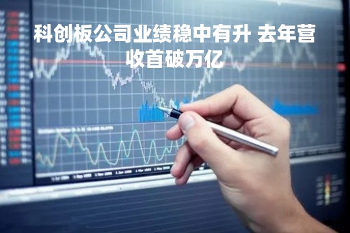 科创板公司业绩稳中有升 去年营收首破万亿