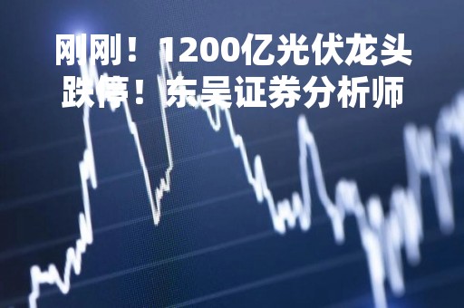 刚刚！1200亿光伏龙头跌停！东吴证券分析师唱多遭打脸