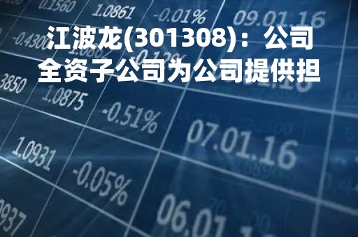 江波龙(301308)：公司全资子公司为公司提供担保