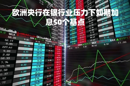 欧洲央行在银行业压力下如期加息50个基点
