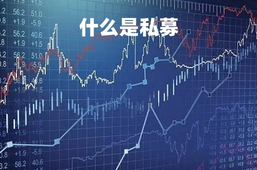 什么是私募