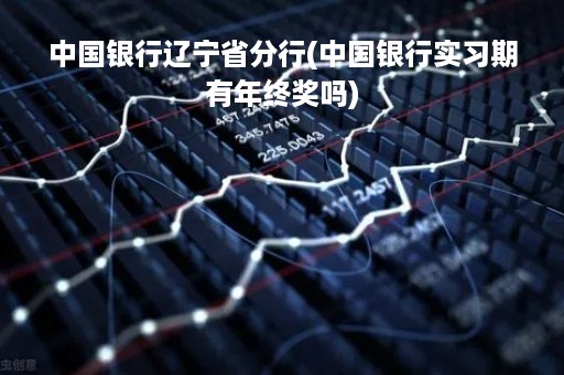 中国银行辽宁省分行(中国银行实习期有年终奖吗)