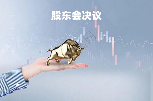 股东会决议