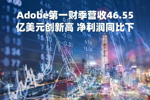 Adobe第一财季营收46.55亿美元创新高 净利润同比下降2%