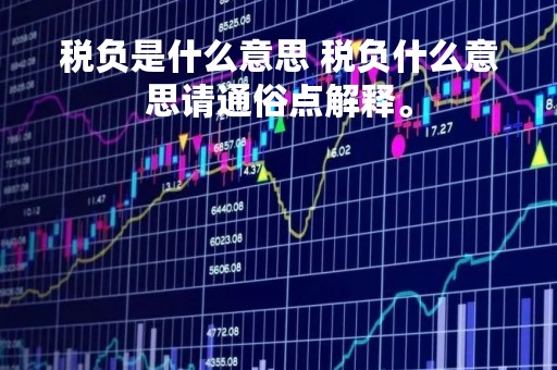 税负是什么意思 税负什么意思请通俗点解释。 税负是什么意思 税负什么意思请通俗点解释。