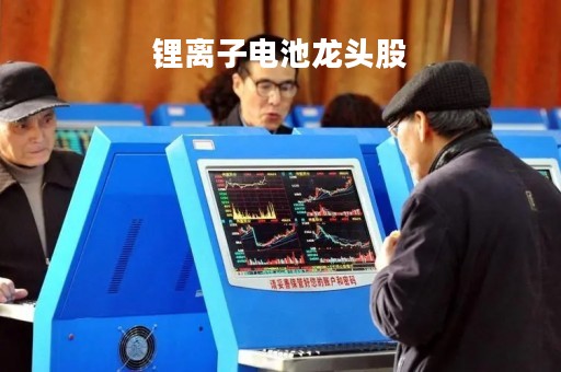 锂离子电池龙头股