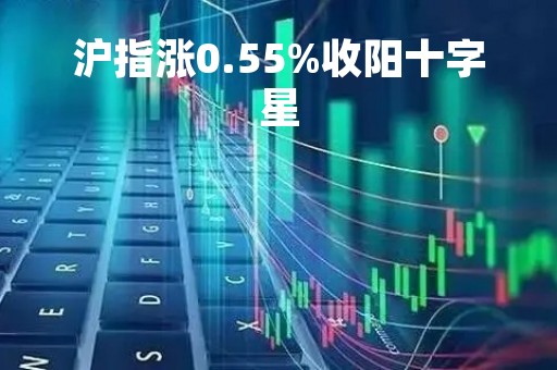 沪指涨0.55%收阳十字星