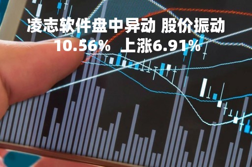 凌志软件盘中异动 股价振动10.56%  上涨6.91%