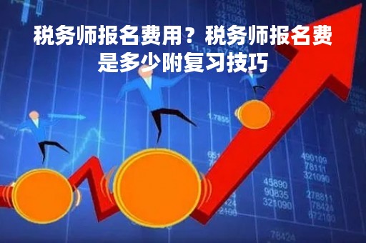 税务师报名费用?税务师报名费是多少附复习技巧 税务师报名费用?税务师报名费是多少附复习技巧