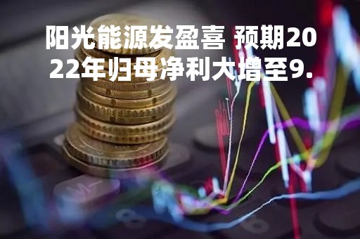 阳光能源发盈喜 预期2022年归母净利大增至9.07亿至9.65亿元