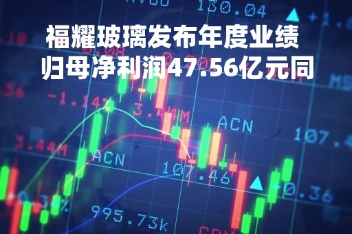 福耀玻璃发布年度业绩 归母净利润47.56亿元同比增加51.16%