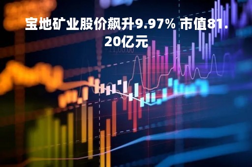 宝地矿业股价飙升9.97% 市值81.20亿元