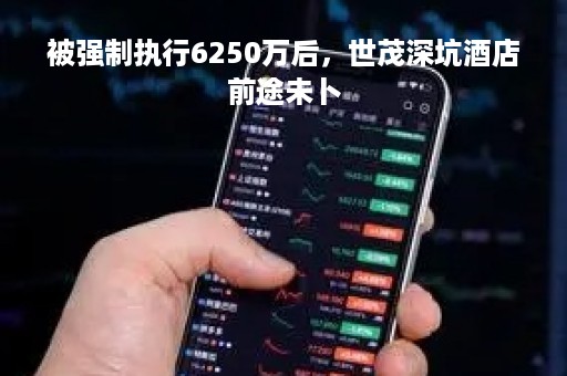 被强制执行6250万后，世茂深坑酒店前途未卜