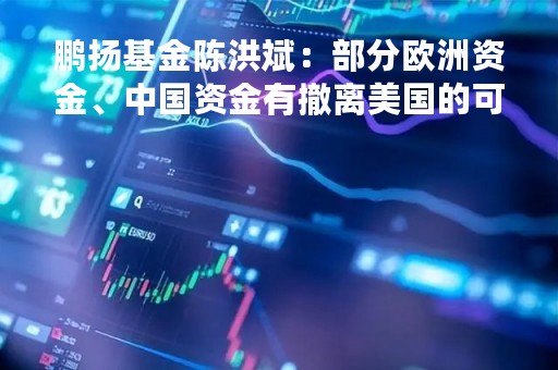 鹏扬基金陈洪斌：部分欧洲资金、中国资金有撤离美国的可能性
