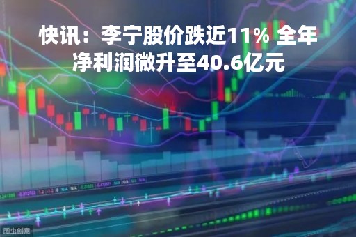 快讯：李宁股价跌近11% 全年净利润微升至40.6亿元