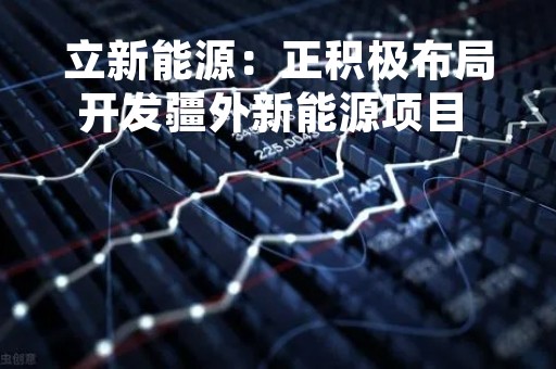 立新能源：正积极布局开发疆外新能源项目 目前处于前期开发阶段