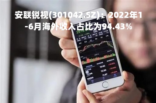 安联锐视(301042.SZ)：2022年1-6月海外收入占比为94.43%