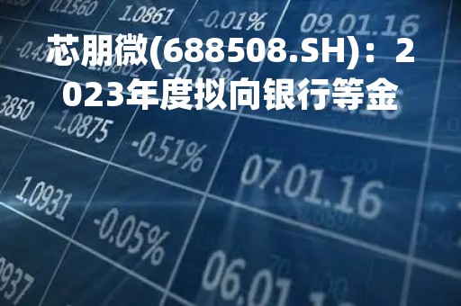 芯朋微(688508.SH)：2023年度拟向银行等金融机构申请不超12.5亿元综合授信额度
