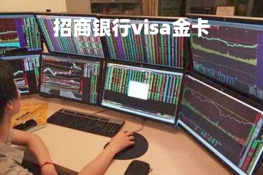 招商银行visa金卡
