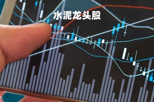 水泥龙头股