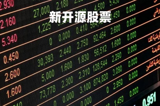 新开源股票
