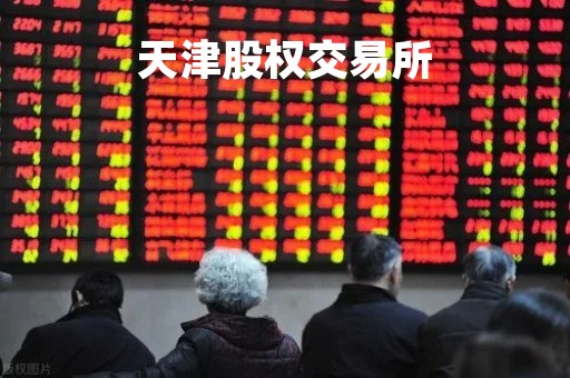 天津股权交易所