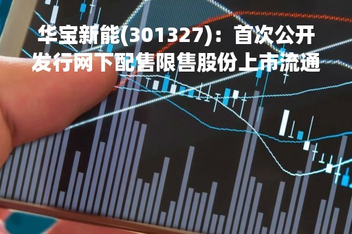 华宝新能(301327)：首次公开发行网下配售限售股份上市流通，126.73万股解禁